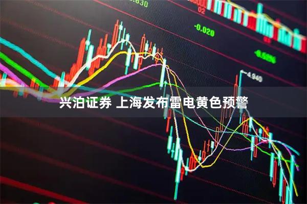 兴泊证券 上海发布雷电黄色预警