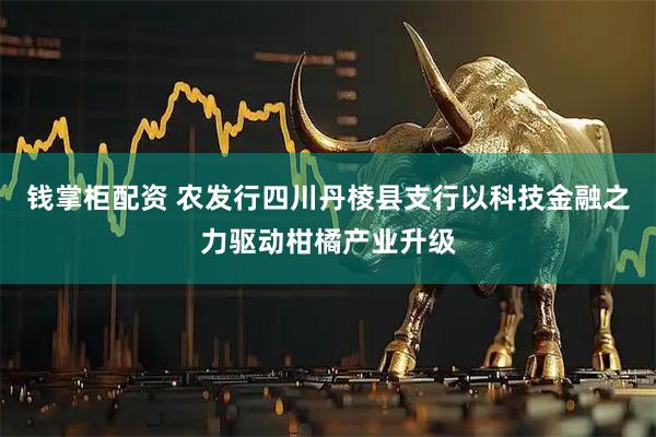 钱掌柜配资 农发行四川丹棱县支行以科技金融之力驱动柑橘产业升级