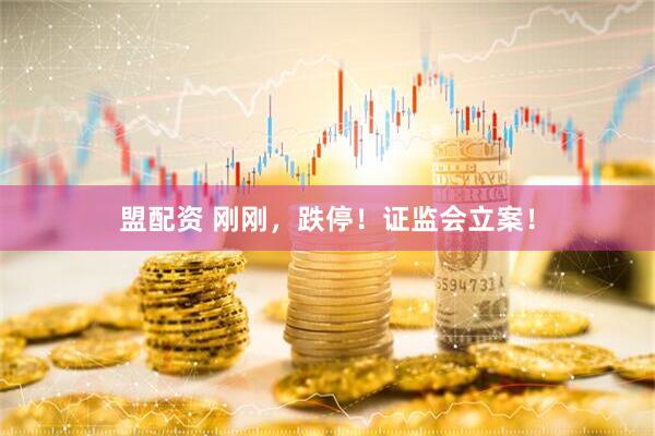 盟配资 刚刚，跌停！证监会立案！