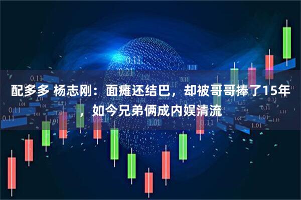 配多多 杨志刚:面瘫还结巴,却被哥哥捧了15年,如今兄弟俩成内娱清流